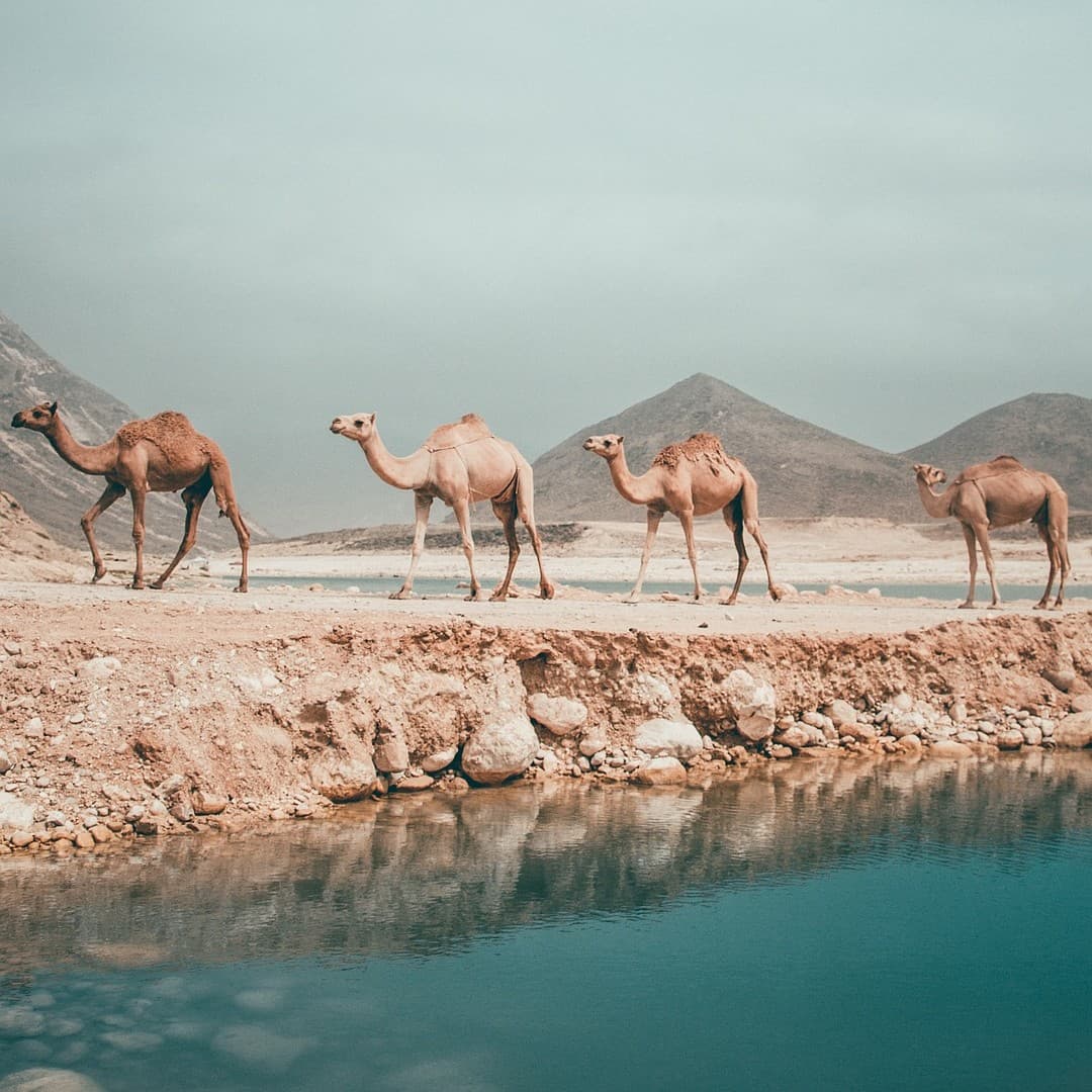 Strand in Oman